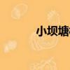 小壩塘村（關于小壩塘村簡介）
