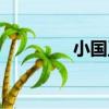 小國王（關于小國王簡介）