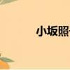 小坂照子（關于小坂照子簡介）