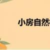 小房自然村（關于小房自然村簡介）