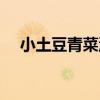 小土豆青菜湯（關于小土豆青菜湯簡介）