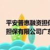 平安普惠融資擔保有限公司廣東分公司（關于平安普惠融資擔保有限公司廣東分公司介紹）