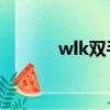 wlk雙手劍幻化（雙手劍幻化）