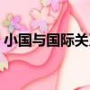 小國與國際關系（關于小國與國際關系簡介）