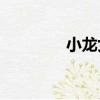 小龍女孩被玷污是哪一集？