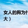 女人的胸為什么這么大（女人的胸為什么這么大）