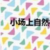 小場上自然村（關于小場上自然村簡介）