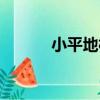 小平地村（關于小平地村簡介）