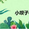 小壩子村（關于小壩子村簡介）