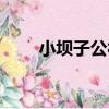 小壩子公社（關于小壩子公社簡介）