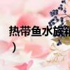 熱帶魚水族箱屏保激活碼（熱帶魚屏保注冊碼）