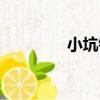 小坑鎮（關于小坑鎮簡介）