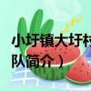 小圩鎮大圩村志愿隊（關于小圩鎮大圩村志愿隊簡介）