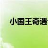 小國王奇遇記（關于小國王奇遇記簡介）
