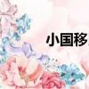小國移民（關于小國移民簡介）