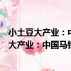 小土豆大產業：中國馬鈴薯之都產業發展戰略（關于小土豆大產業：中國馬鈴薯之都產業發展戰略簡介）
