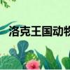 洛克王國動物組別寵物（洛克王國動物組）