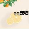 qq寵物結婚生蛋（qq寵物結婚）