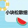 小塊松散組合（關于小塊松散組合簡介）