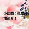 小團圓：張愛玲的傾城余恨（關于小團圓：張愛玲的傾城余恨簡介）