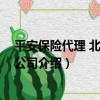 平安保險代理 北京有限公司（關于平安保險代理 北京有限公司介紹）