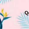 Qq珊瑚版（qq珊瑚）