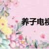 養子電視劇的演員（養子電視劇）
