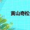 黃山奇松介紹英語（黃山奇松介紹）