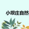 小壩莊自然村（關于小壩莊自然村簡介）