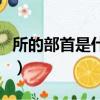 所的部首是什么偏旁和筆畫（所的部首是什么）