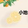 小地松（關于小地松簡介）