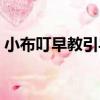 小布叮早教引導（關于小布叮早教引導簡介）