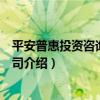 平安普惠投資咨詢有限公司（關于平安普惠投資咨詢有限公司介紹）