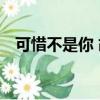 可惜不是你 胡夏歌詞（可惜不是你 胡夏）