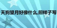 天狗望月好像什么,照樣子寫句子(天狗望月)