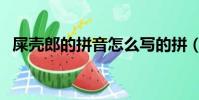屎殼郎的拼音怎么寫的拼(屎殼郎的拼音)