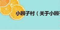 小園子村(關于小園子村簡介)
