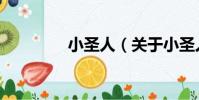 小圣人(關于小圣人簡介)