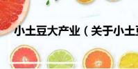 小土豆大產業(關于小土豆大產業簡介)