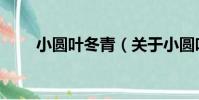 小圓葉冬青(關于小圓葉冬青簡介)