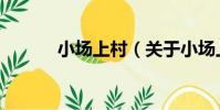 小場上村(關于小場上村簡介)