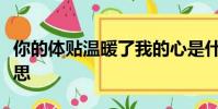 你的體貼溫暖了我的心是什么歌歌詞是什么意思