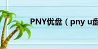 PNY優盤(pny u盤怎么樣)
