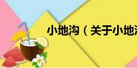 小地溝(關于小地溝簡介)