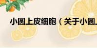 小圓上皮細胞(關于小圓上皮細胞簡介)