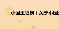 小國王噴泉(關于小國王噴泉簡介)