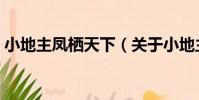小地主鳳棲天下(關于小地主鳳棲天下簡介)