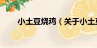 小土豆燒雞(關于小土豆燒雞簡介)