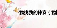 我挑我的伴奏(我挑我的)