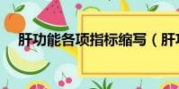 肝功能各項指標縮寫(肝功能各項指標)